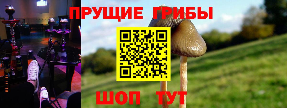 Галлюциногенные грибы прущие грибы  Вход с VPN  Приморско-Ахтарск 